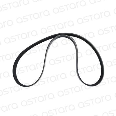 CORREA DE ACCESORIOS