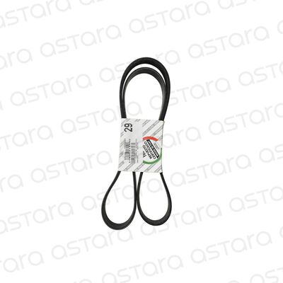 CORREA DE ACCESORIOS