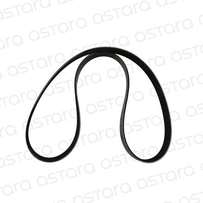 CORREA DE ACCESORIOS