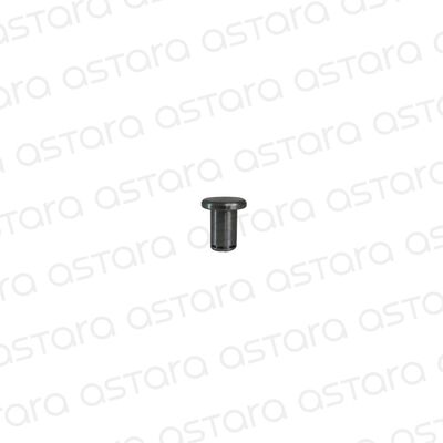 PASADOR