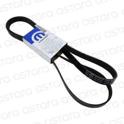 CORREA DE ACCESORIOS