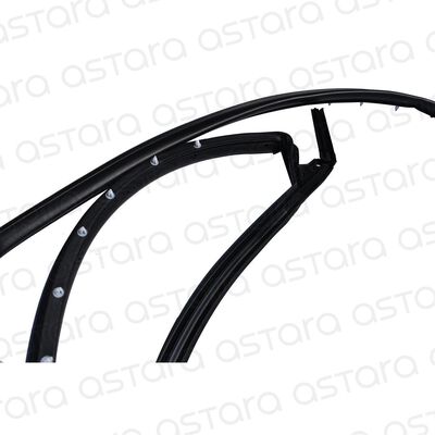 GOMA CONTORNO PUERTA DELANTERA IZQUIERDA