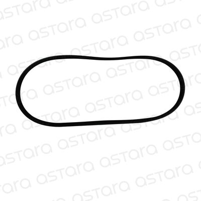 CORREA DE ACCESORIOS