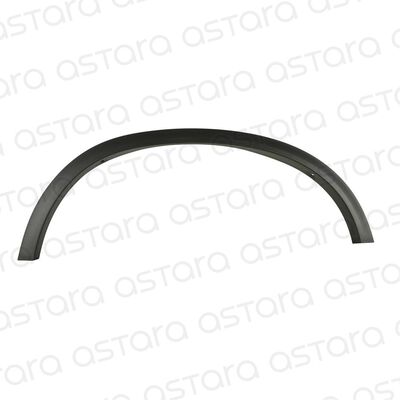 MOLDURA GUARDAFANGO TRASERO IZQUIERDO