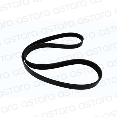 CORREA DE ACCESORIOS