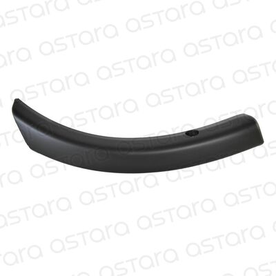 MOLDURA PARACHOQUE TRASERO DERECHO