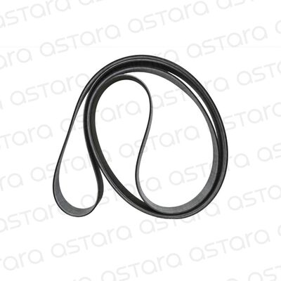 CORREA DE ACCESORIOS