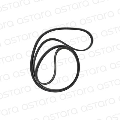CORREA DE ACCESORIOS
