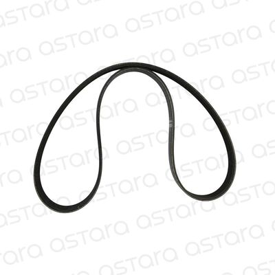 CORREA DE ACCESORIOS