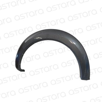 MOLDURA PASO RUEDA DELANTERA IZQUIERDA