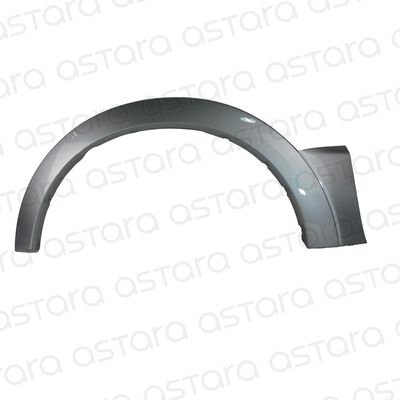 MOLDURA PASO RUEDA DELANTERA IZQUIERDA