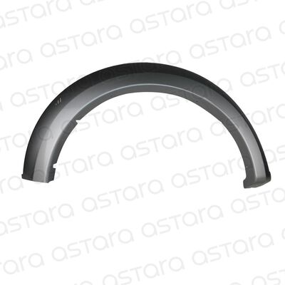 MOLDURA PASO DE RUEDA TRASERA DERECHA
