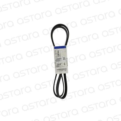CORREA DE ACCESORIOS