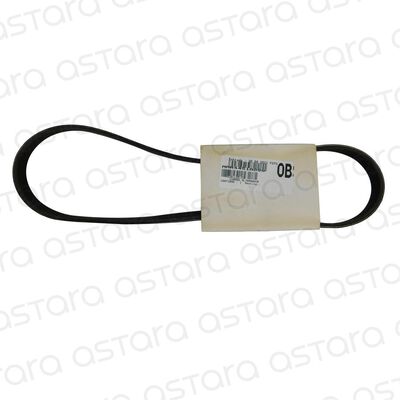 CORREA DE ACCESORIOS