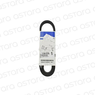 CORREA DE ACCESORIOS