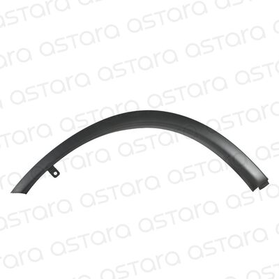 MOLDURA PASO RUEDA DELANTERA IZQUIERDA