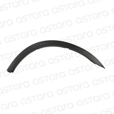 MOLDURA GUARDAFANGO TRASERO IZQUIERDO