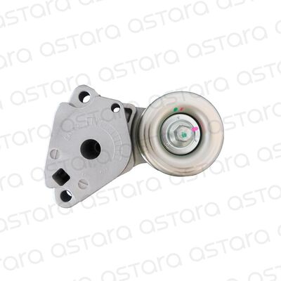 TENSOR CORREA DE ACCESORIOS