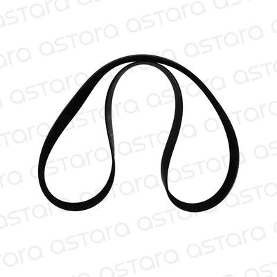 CORREA DE ACCESORIOS