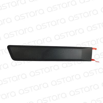 MOLDURA DE PUERTA TRASERA DERECHA