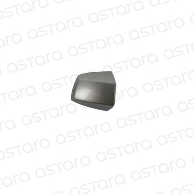 TAPA MANILLA PUERTA TRAS IZQ