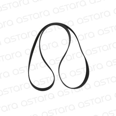 CORREA DE ACCESORIOS