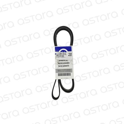 CORREA DE ACCESORIOS