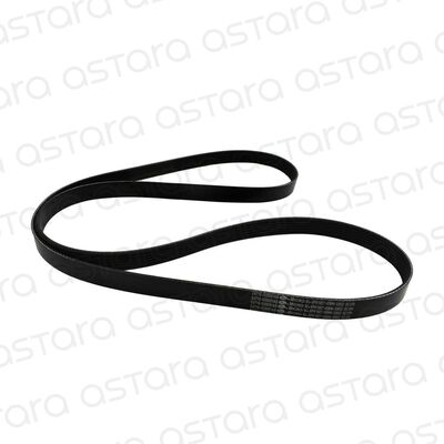 CORREA DE ACCESORIOS