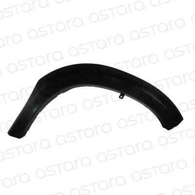 MOLDURA PASO RUEDA DELANTERA DERECHA