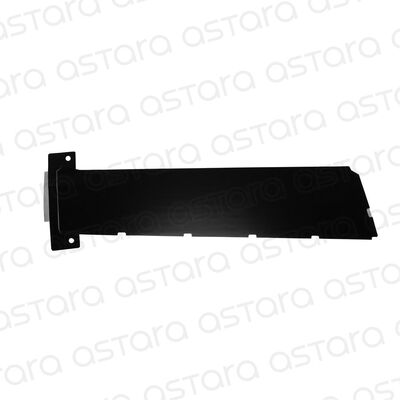 MOLDURA PUERTA TRASERA DERECHA