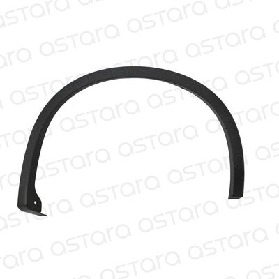 MOLDURA PASO DE RUEDA DELANTERA DERECHA