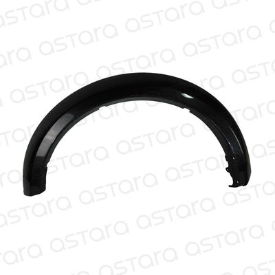 MOLDURA PASO RUEDA DELANTERA IZQUIERDA