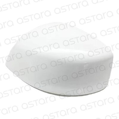 TAPA DE ESPEJO RETROVISOR IZQUIERDO