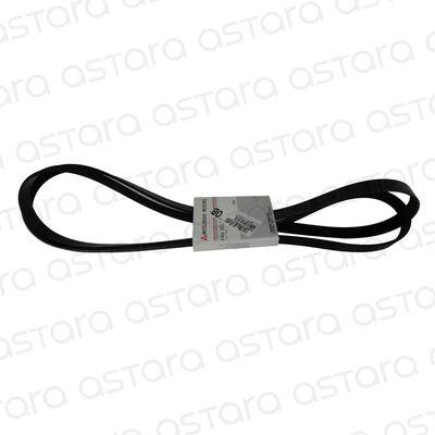CORREA DE ACCESORIOS