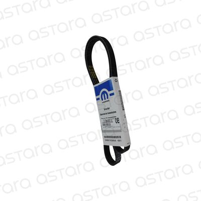CORREA DE ACCESORIOS