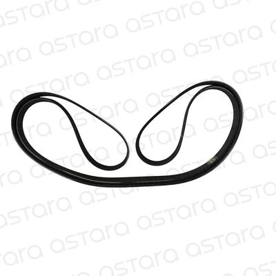 CORREA DE ACCESORIOS