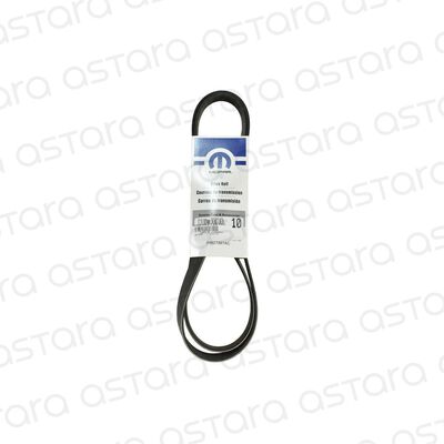 CORREA DE ACCESORIOS