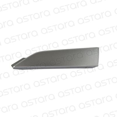 MOLDURA PARACHOQUE DELANTERO DERECHO
