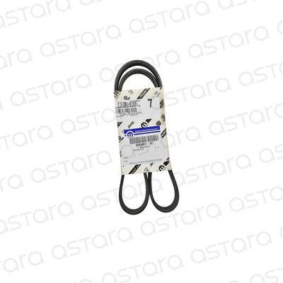 CORREA DE ACCESORIOS