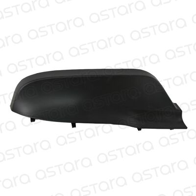 MOLDURA PARACHOQUE DELANTERO IZQUIERDO