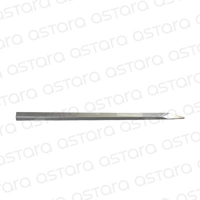 EXTENSI&Oacute;N LATERAL