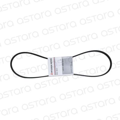 CORREA DE ACCESORIOS