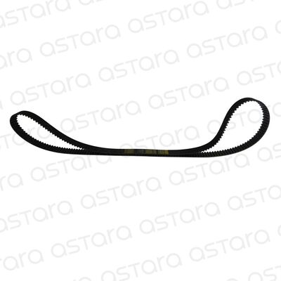 CORREA DE DISTRIBUCION