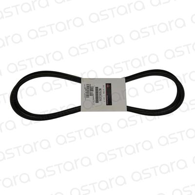 CORREA DE ACCESORIOS