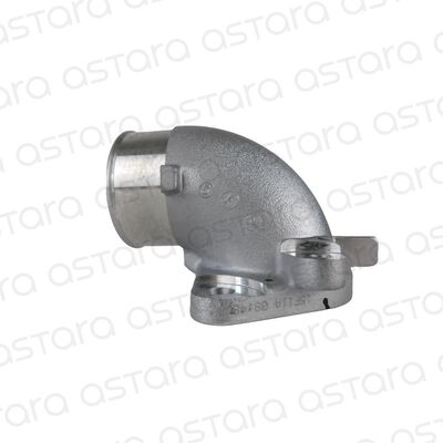 CANERIA TURBO