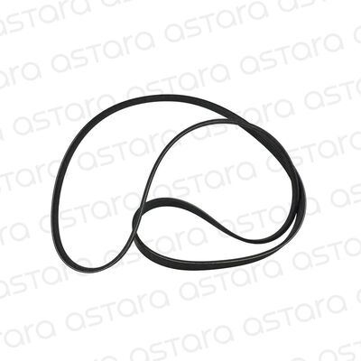 CORREA DE ACCESORIOS