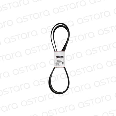 CORREA DE ACCESORIOS