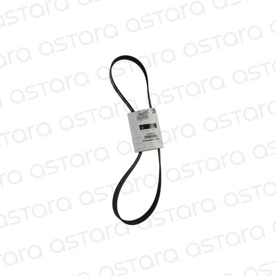 CORREA DE ACCESORIOS