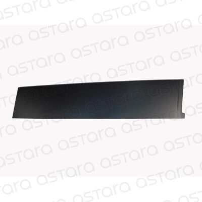 BLACKOUT PUERTA DELANTERA DERECHA