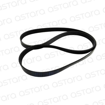 CORREA DE ACCESORIOS